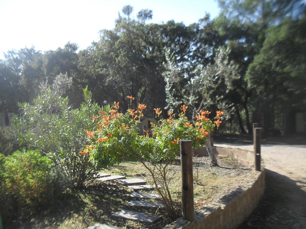 Quinta Do Outeiro Alto Villa Constancia Bagian luar foto