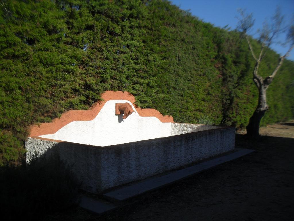 Quinta Do Outeiro Alto Villa Constancia Bagian luar foto