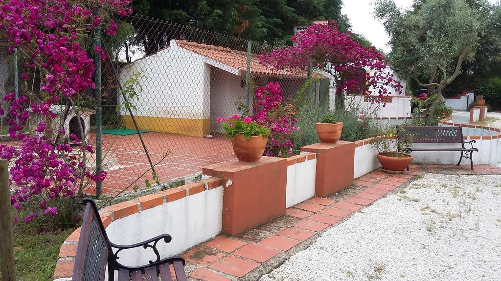 Quinta Do Outeiro Alto Villa Constancia Bagian luar foto